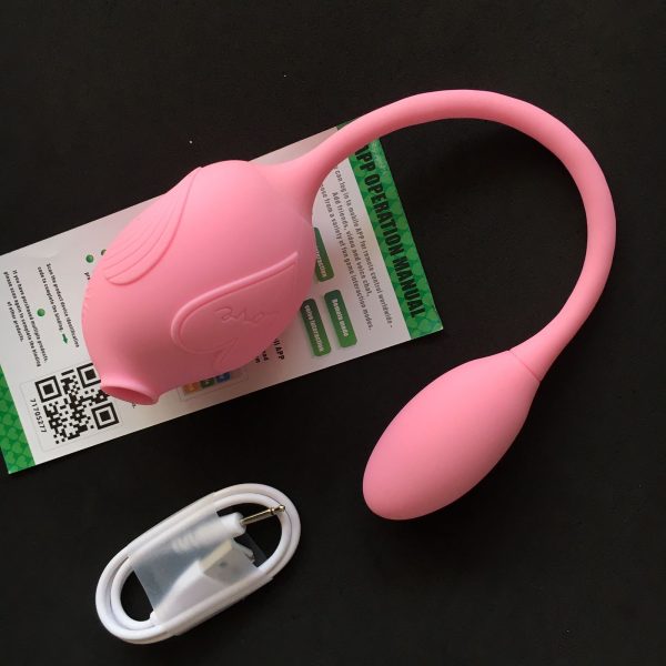 iFody Sex Shop Goiânia