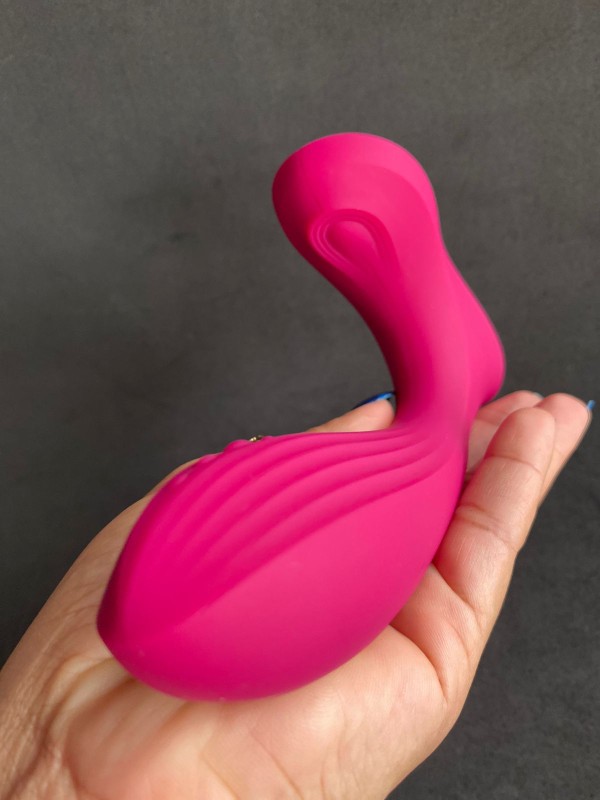 iFody Sex Shop Goiânia