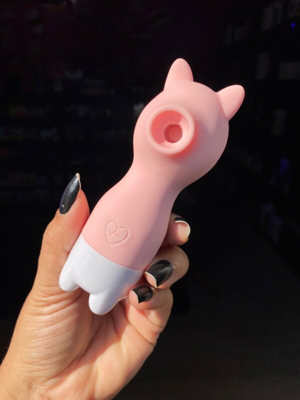 iFody Sex Shop Goiânia