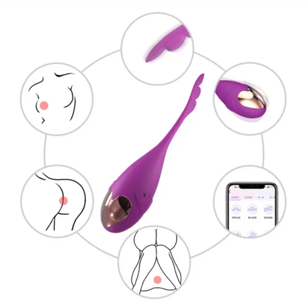 iFody Sex Shop Goiânia