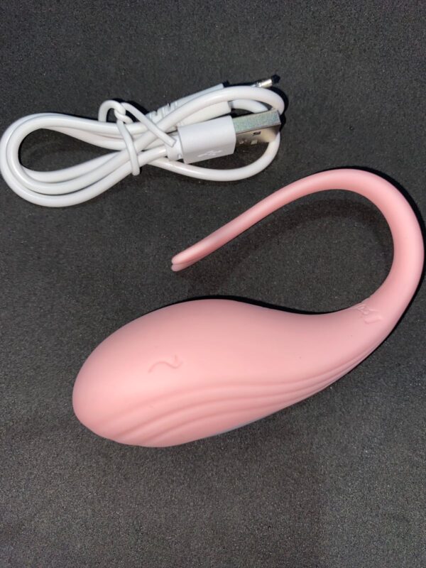 iFody Sex Shop Goiânia