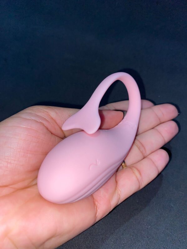 iFody Sex Shop Goiânia