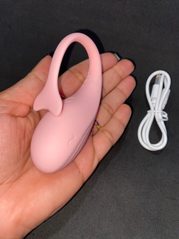 iFody Sex Shop Goiânia