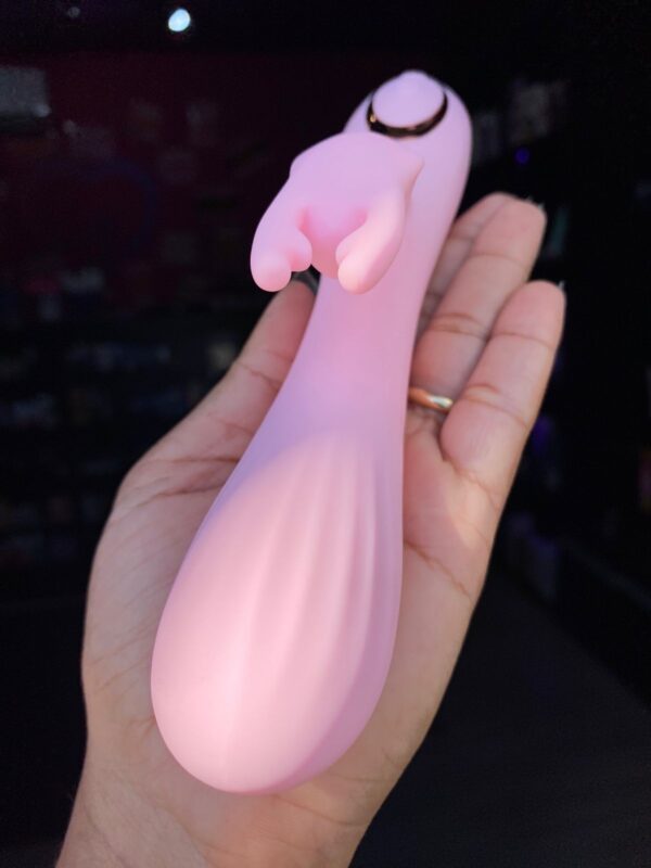 iFody Sex Shop Goiânia