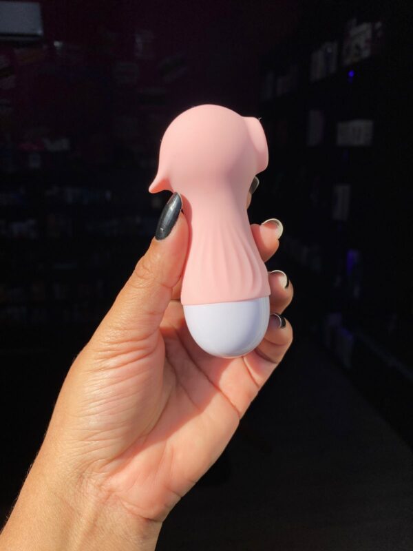 iFody Sex Shop Goiânia