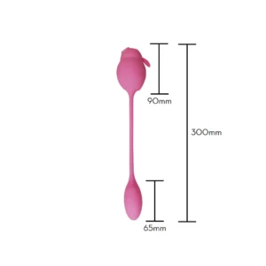 iFody Sex Shop Goiânia