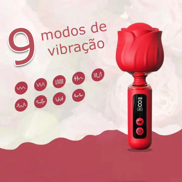 iFody Sex Shop Goiânia