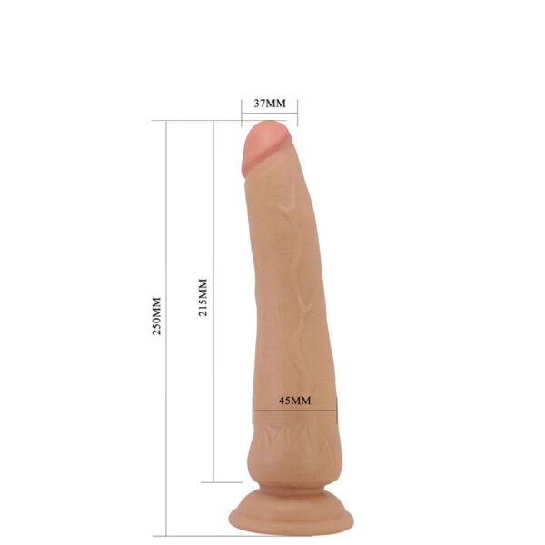iFody Sex Shop Goiânia