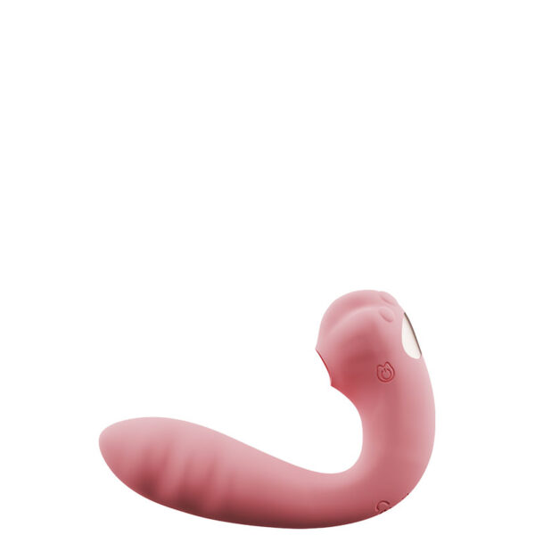 iFody Sex Shop Goiânia
