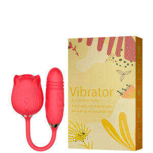 Vibrador Duplo Recarregável RoseMotion