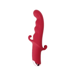 Leozin -vibrador ponto g e estimulo no clitóris 10 intensidades (4311) recarregável