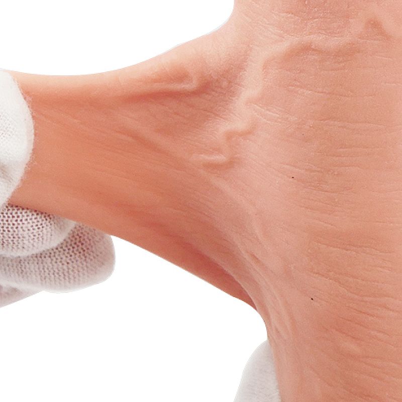 P3n1s Realístico com ventosa Removível e Dupla Camada - 20,0 cm (8330)