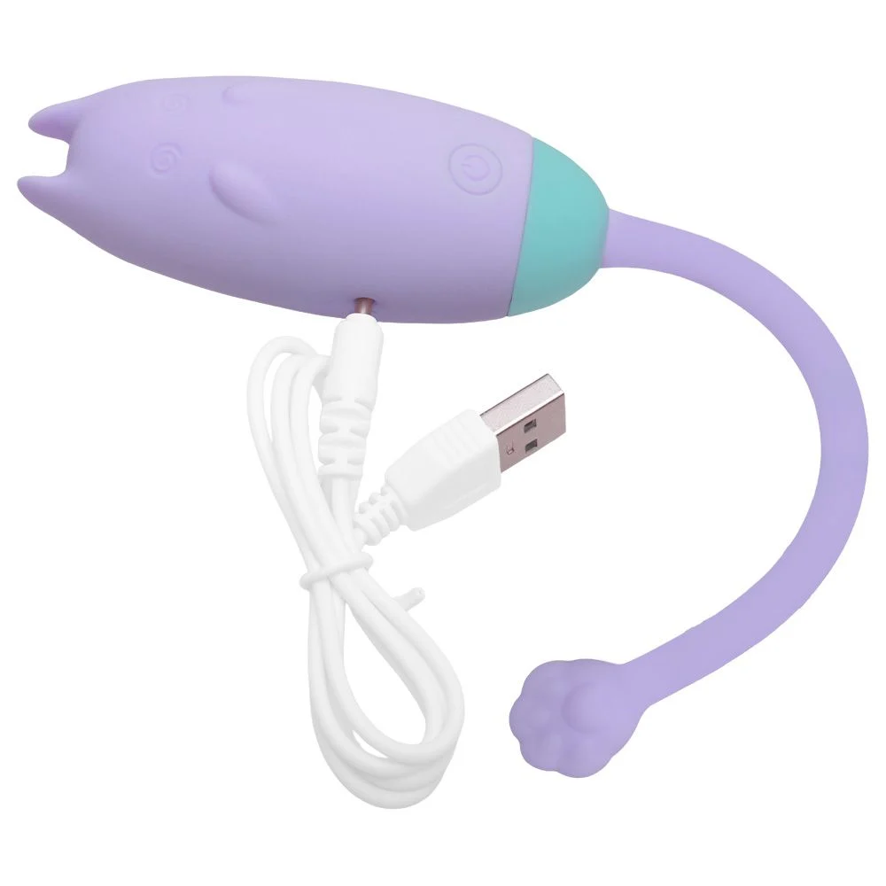 Vibradopr de aplicativo de celular 10 intensidades (BW069) recarregável — foto 7