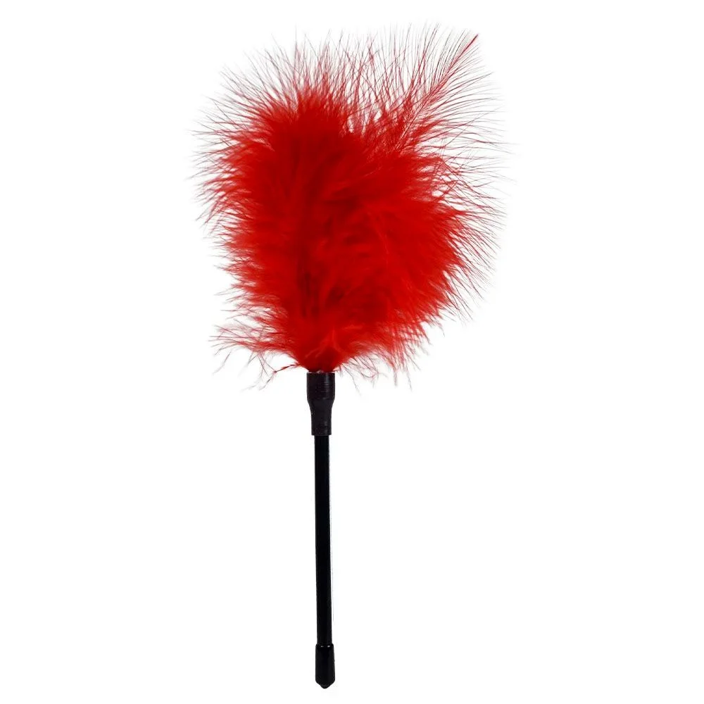 Pluma Sado Estimuladora Sensorial — foto 1
