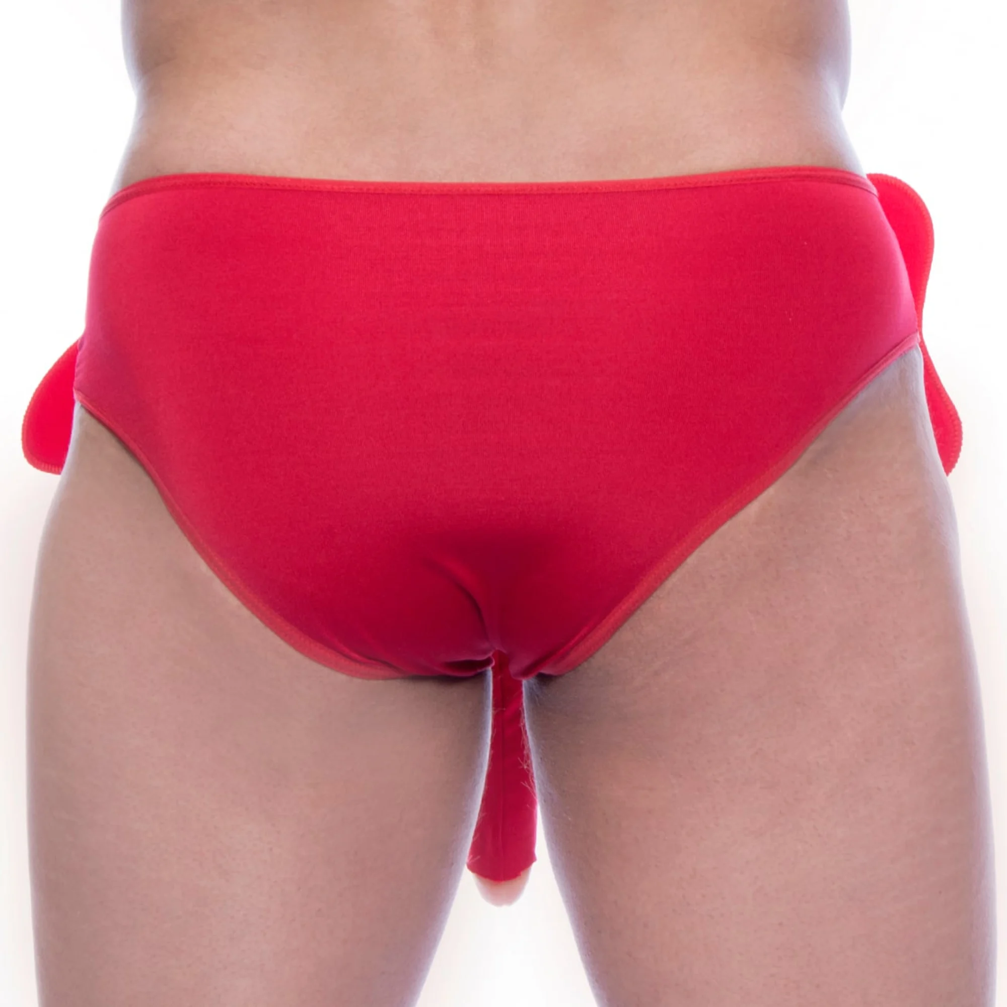 Cueca Elefante (076) — foto 2